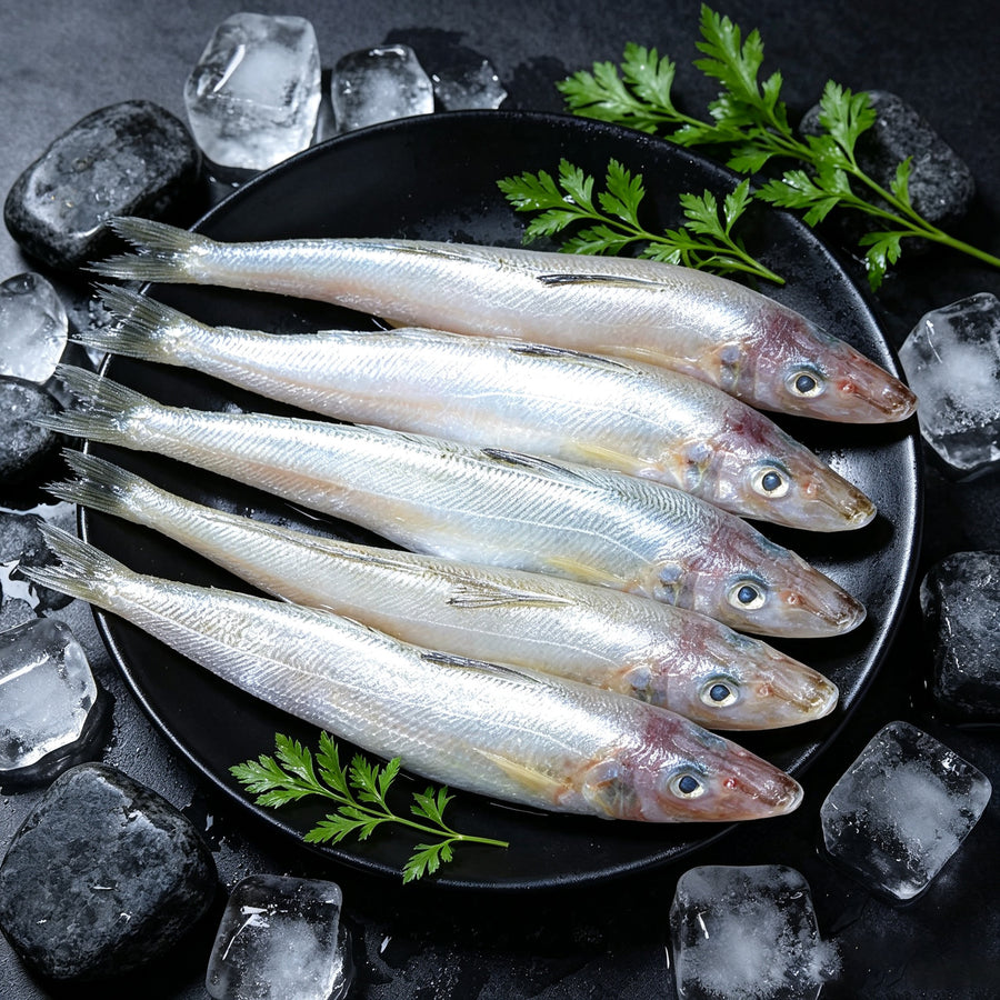 Five raw sillago arranged on crushed ice with parsley